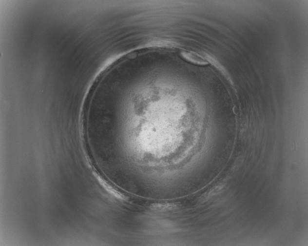 X0000054431037200508121813