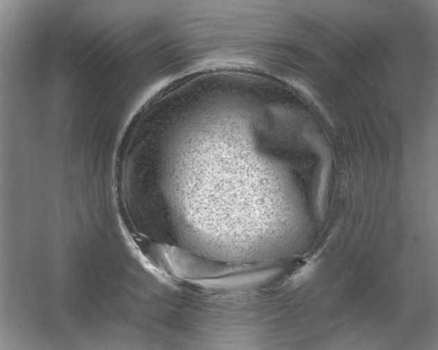 X0000054431038200508121813