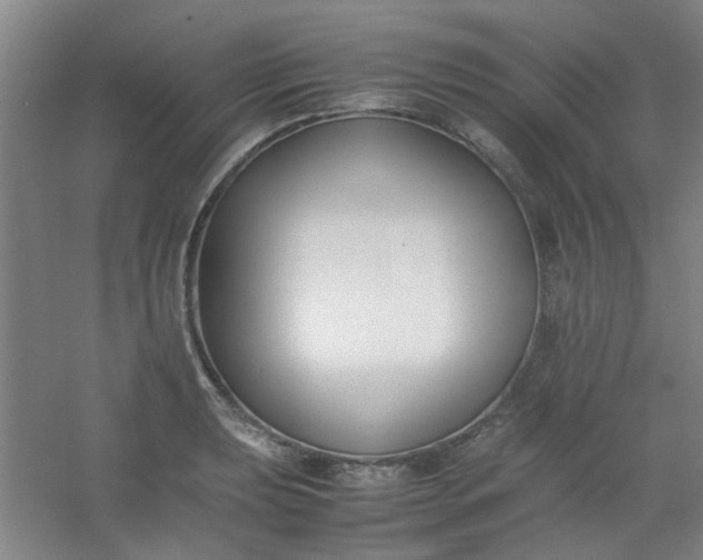 X0000054431039200508121813