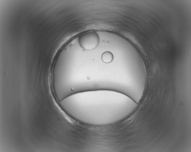 X0000054431040200508121813