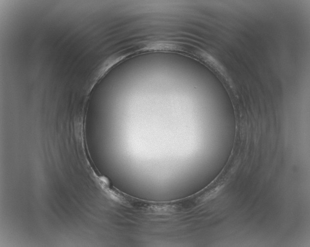 X0000054431041200508121813