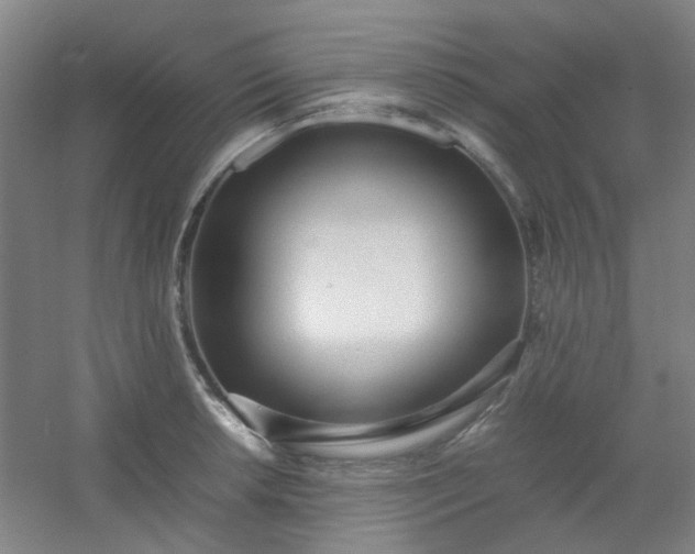 X0000054431042200508121813