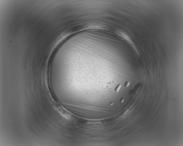 X0000054431043200508121813