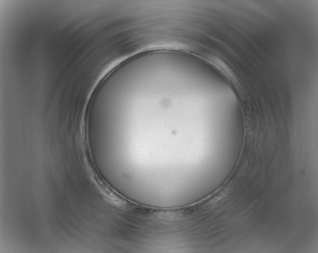 X0000054431044200508121813