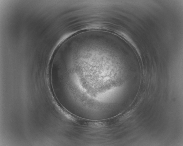 X0000054431045200508121813