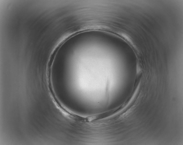 X0000054431046200508121813