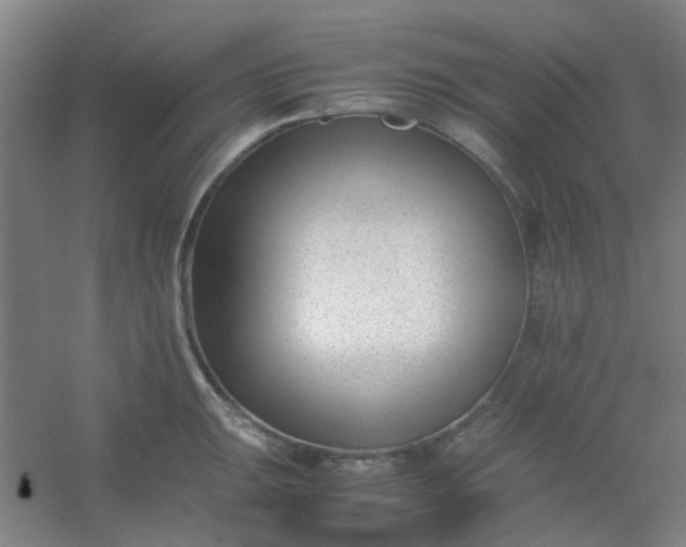 X0000054431047200508121813