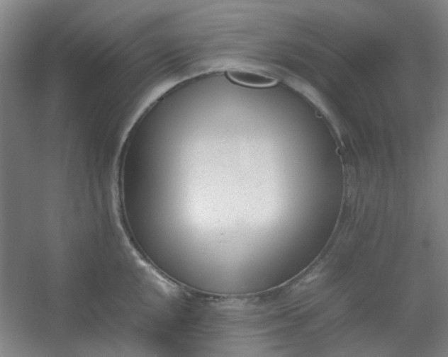 X0000054431048200508121813