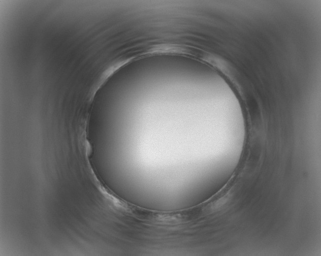 X0000054431049200508121813