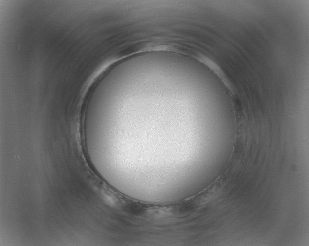 X0000054431051200508121813