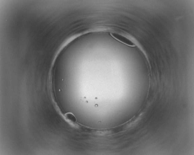 X0000054431053200508121813