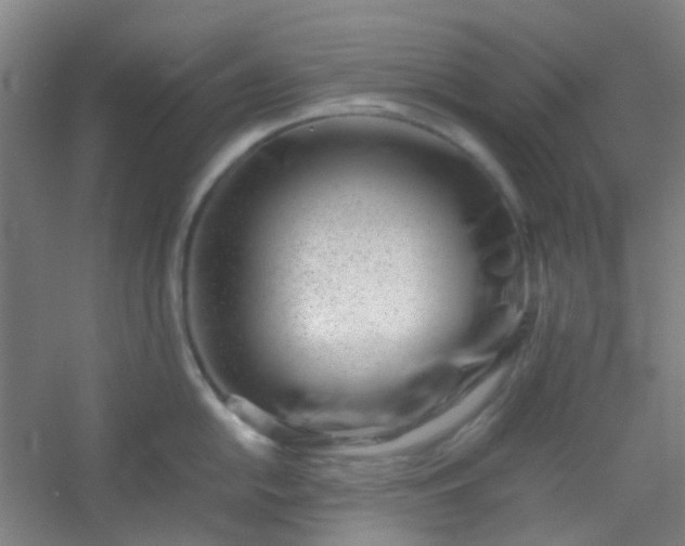 X0000054431054200508121813