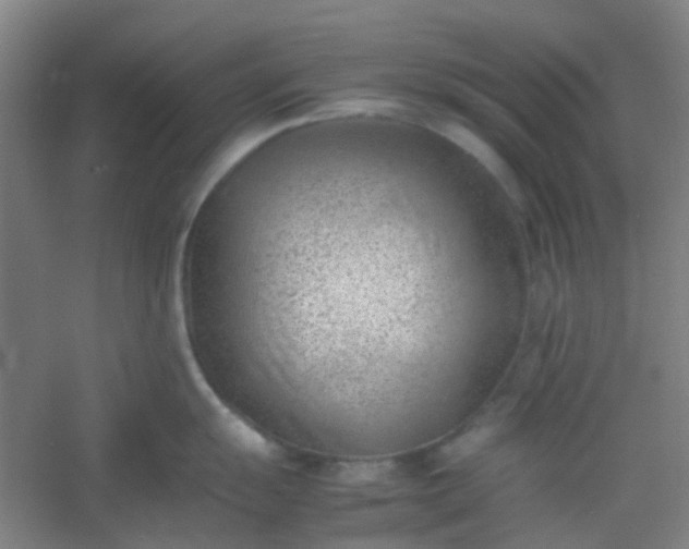 X0000054431055200508121813