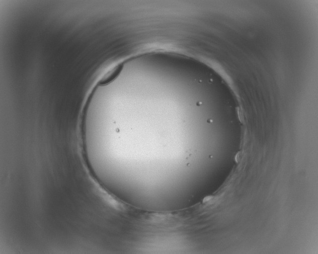 X0000054431056200508121813