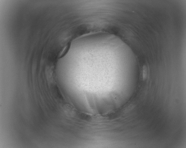 X0000054431059200508121812