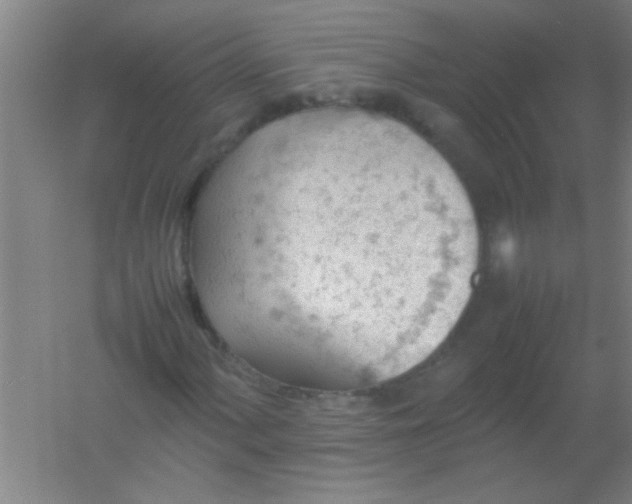 X0000054431060200508121812