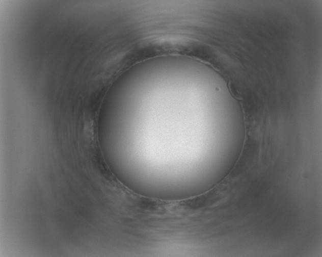 X0000054431061200508121812