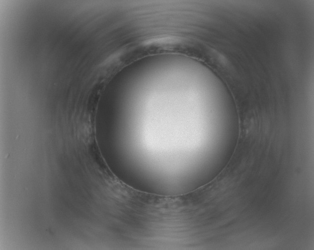 X0000054431062200508121812