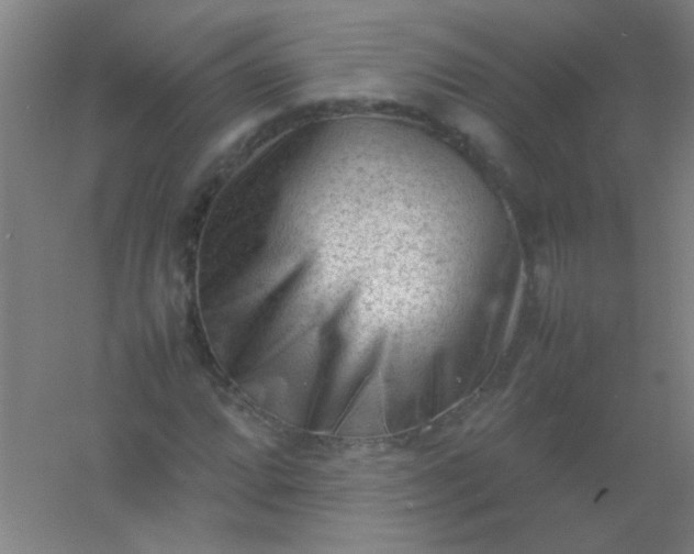 X0000054431064200508121812