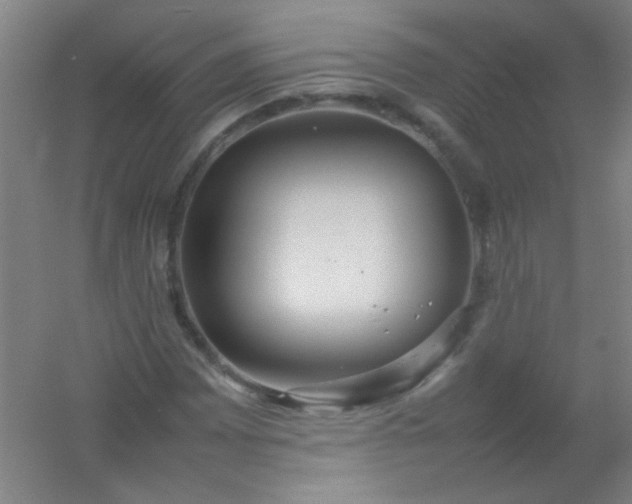 X0000054431065200508121812