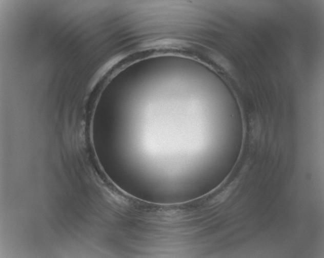 X0000054431066200508121812