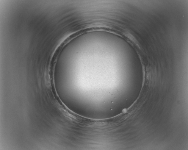 X0000054431068200508121812