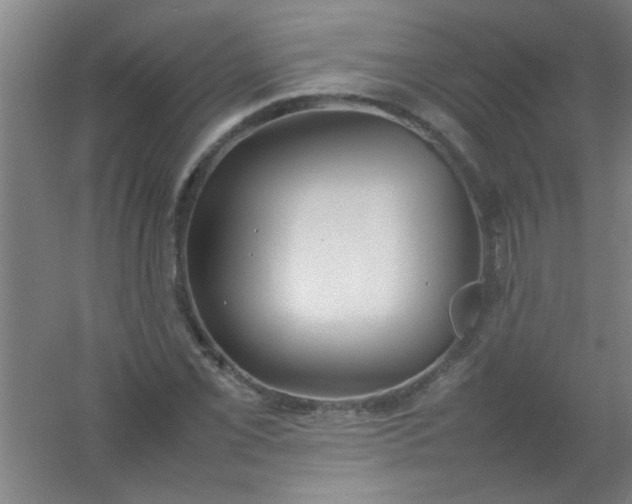 X0000054431069200508121812