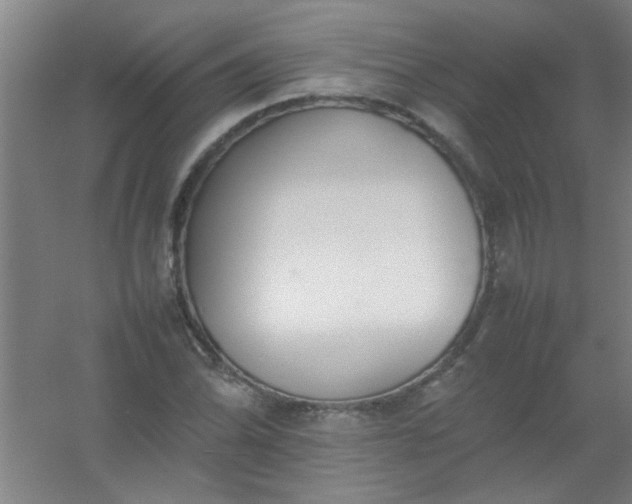 X0000054431070200508121812