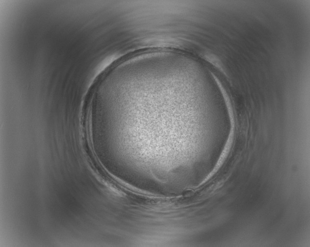 X0000054431071200508121812