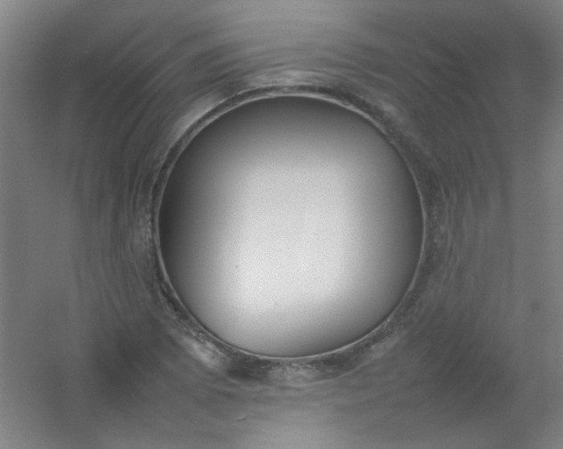 X0000054431073200508121812