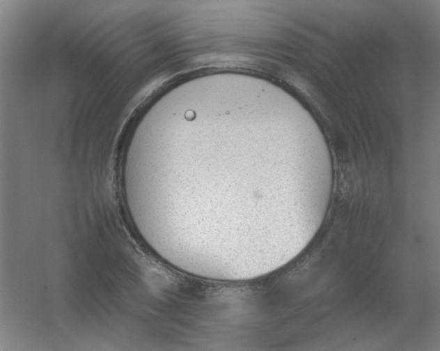 X0000054431074200508121812