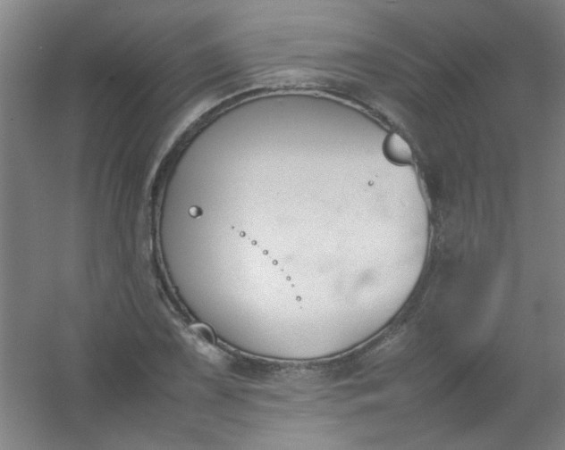 X0000054431075200508121812