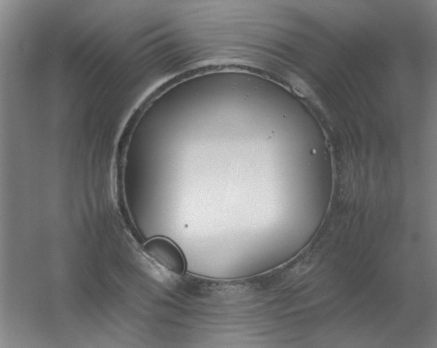 X0000054431076200508121812