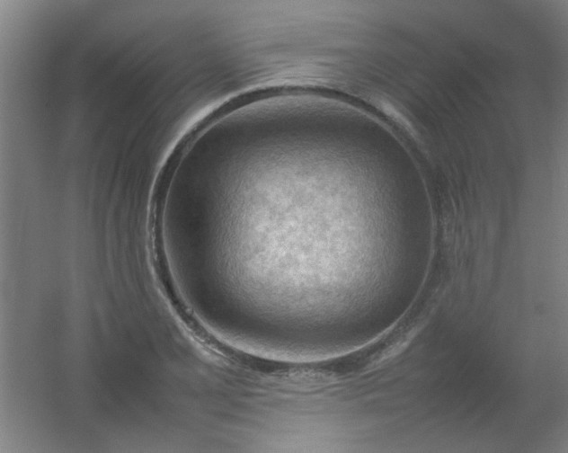 X0000054431077200508121812