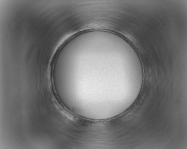 X0000054431078200508121812