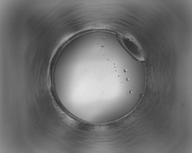 X0000054431080200508121812