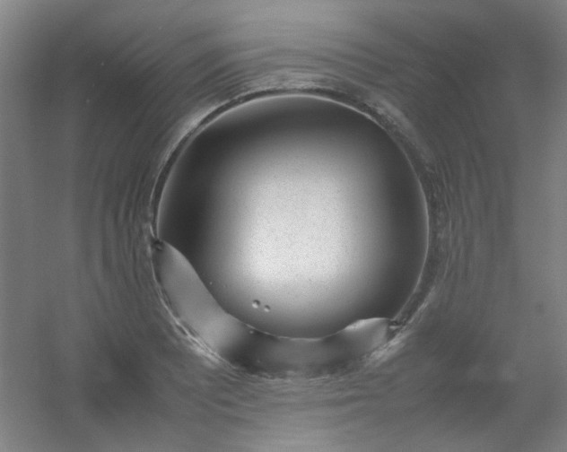 X0000054431081200508121812