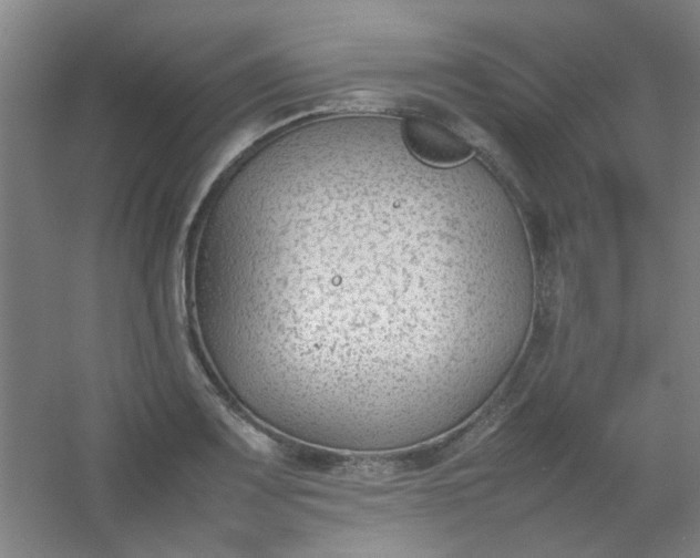 X0000054431083200508121812