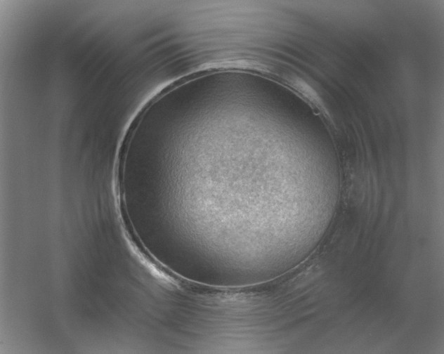 X0000054431084200508121812