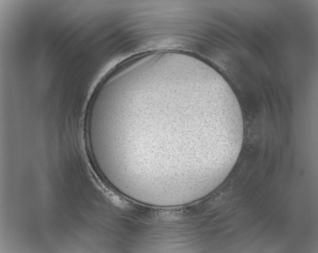 X0000054431086200508121812