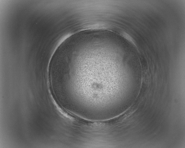 X0000054431087200508121812