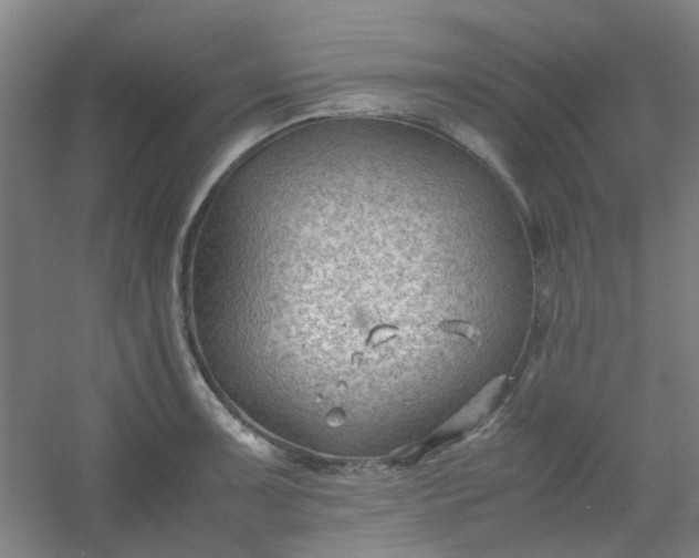 X0000054431091200508121812