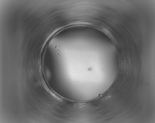 X0000054431092200508121812