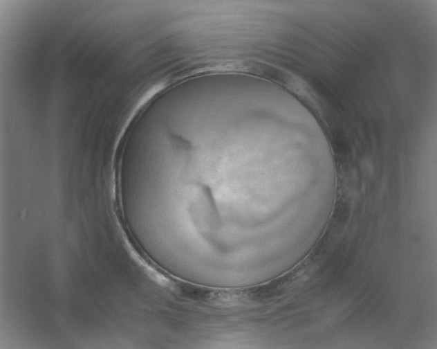 X0000054431095200508121812