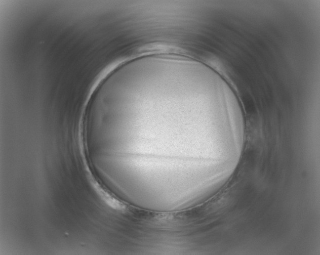 X0000054431098200508121812