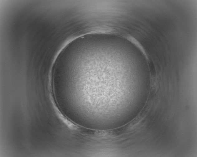 X0000054431099200508121812