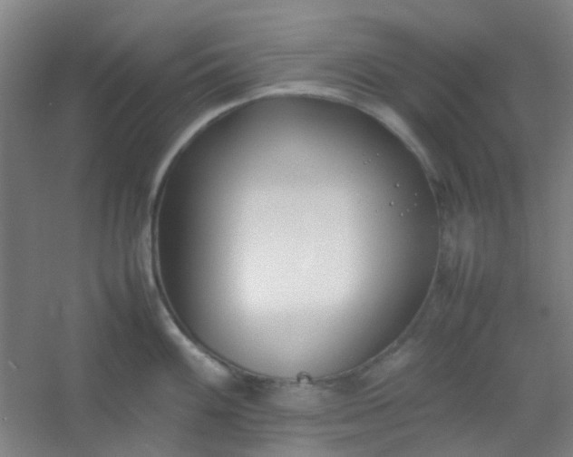 X0000054431100200508121812