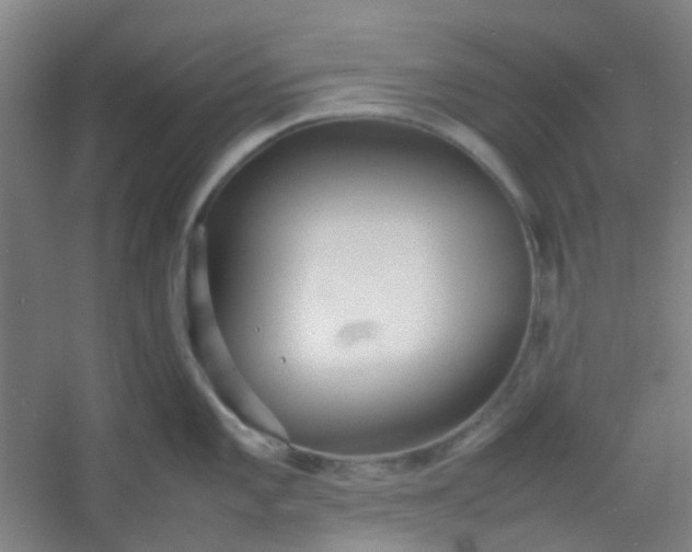 X0000054431101200508121812