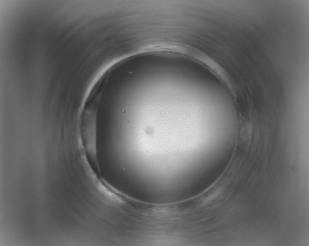 X0000054431102200508121812