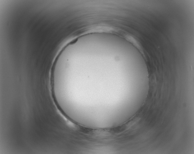 X0000054431103200508121812